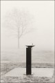 fountain, water fountain, winter, park, winter park, walla walla, black and white, fine art