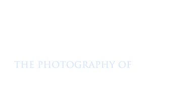 Stephen Penland Photography