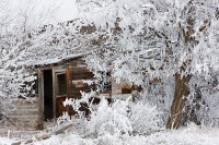 Cabin and Hoarfrost