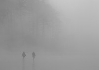 Fog Walkers