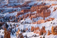 Bryce Canyon in winter, pre-dawn
