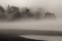 Second Beach Fog