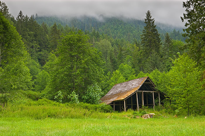 A barn is set against the trees near the Duckabush River on the east side of the Olympic Peninsula under a lowering cloud that...