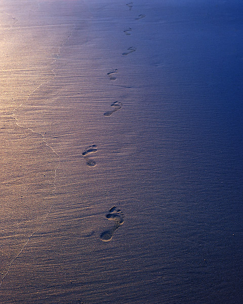 Just as the sun was setting, I photographed these footprints in the sand with my Pentax 67 camera. &nbsp;I reached up to advance...