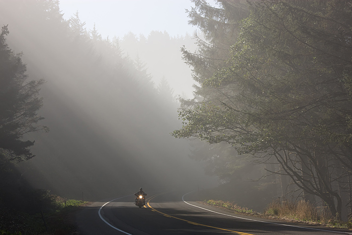 The morning fog and slanting sunlight provide the ideal backdrop for a passing motorcycle on the Oregon Coast highway. &nbsp;...