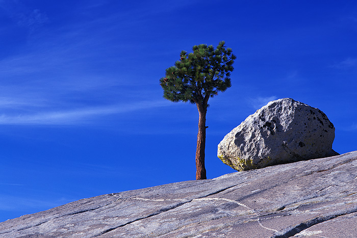 The combination of blue sky, granite boulder, and solitary pine on a large granite base suggests to me a very elemental nature...