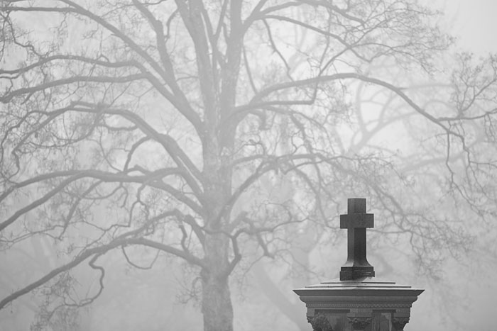 A stone cross stands in stark contrast to the random limbs of a winter tree looming through the fog.&nbsp;