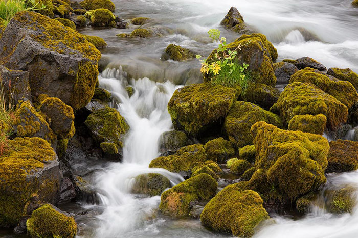 These small rapids reminded me of familiar streams in western Washington State, although the moss was &quot;a bit more developed...