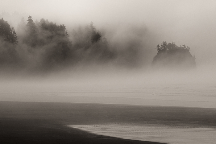 Fog drifted through the shoreline trees and hills, producing a constantly changing landscape. &nbsp;There are so many compositions...