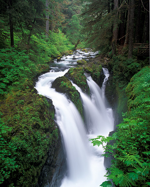 Sol Duc Falls &nbsp;lies in the NW part of Olympic National Park. &nbsp;This waterfall is attractive because of the rocks that...
