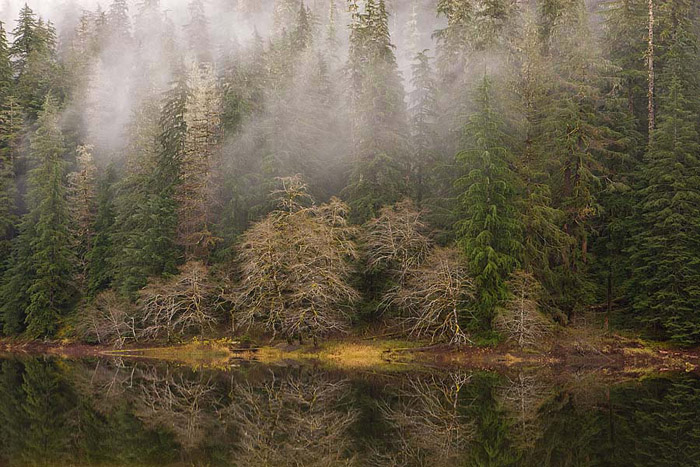 Spider Lake is in the SE portion of the Olympic Peninsula in an part of the Olympic National Forest that sees relatively few...