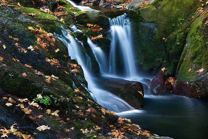 One of Sweet Creek's small waterfalls, made even more appealing by the autumn leaves that are scattered on the banks of the creek...