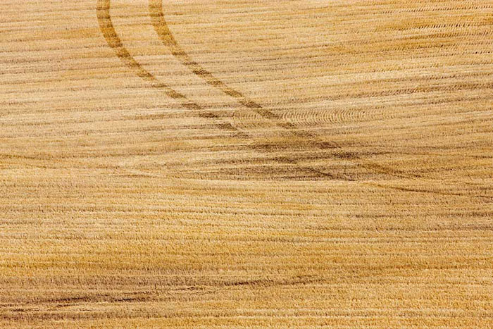 Tire tracks form an abstract pattern in the harvested wheat fields of eastern Washington.&nbsp;
