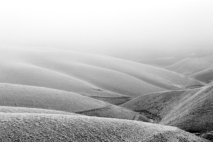 Fog and frost help create an abstract pattern among the intersecting hills of eastern Washington. &nbsp;I find that photos taken...